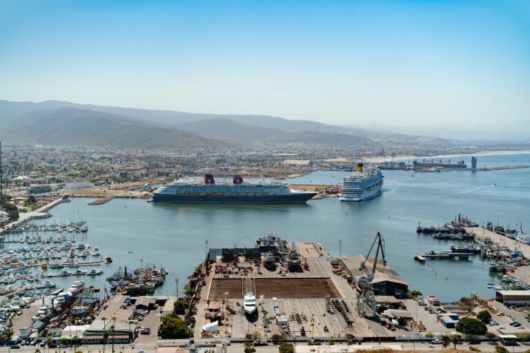 WhatsApp Image 2026-01-11 at 2.00.09 PM