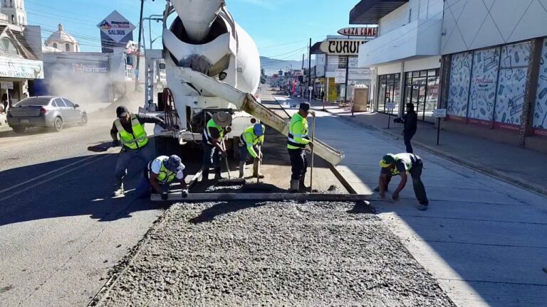 WhatsApp Image 2026-01-12 at 11.02.25 AM