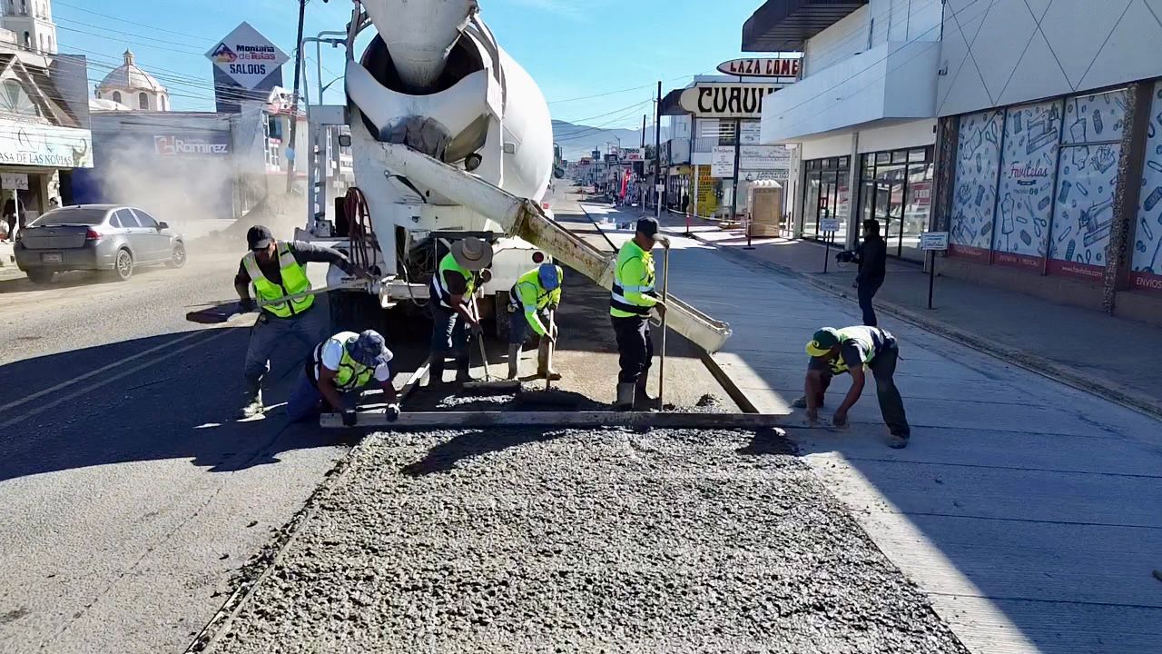 WhatsApp Image 2026-01-12 at 11.02.25 AM