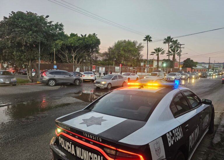 WhatsApp Image 2026-01-12 at 8.42.08 AM