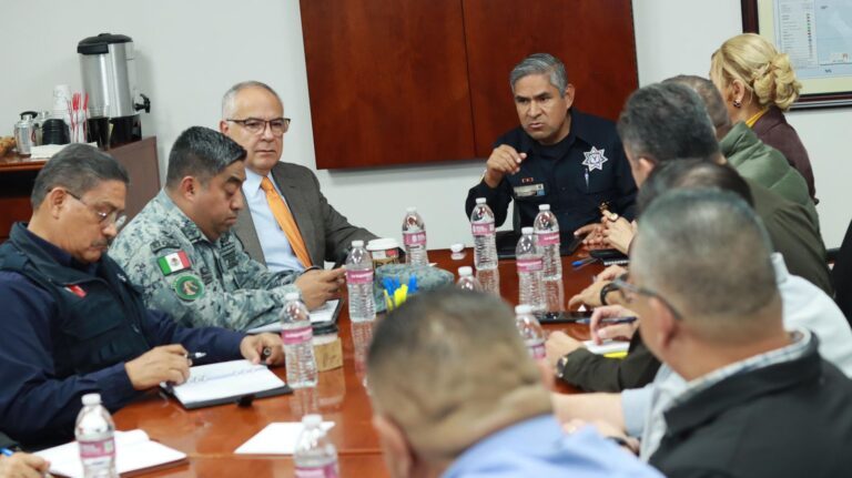 WhatsApp Image 2026-01-13 at 6.36.05 PM