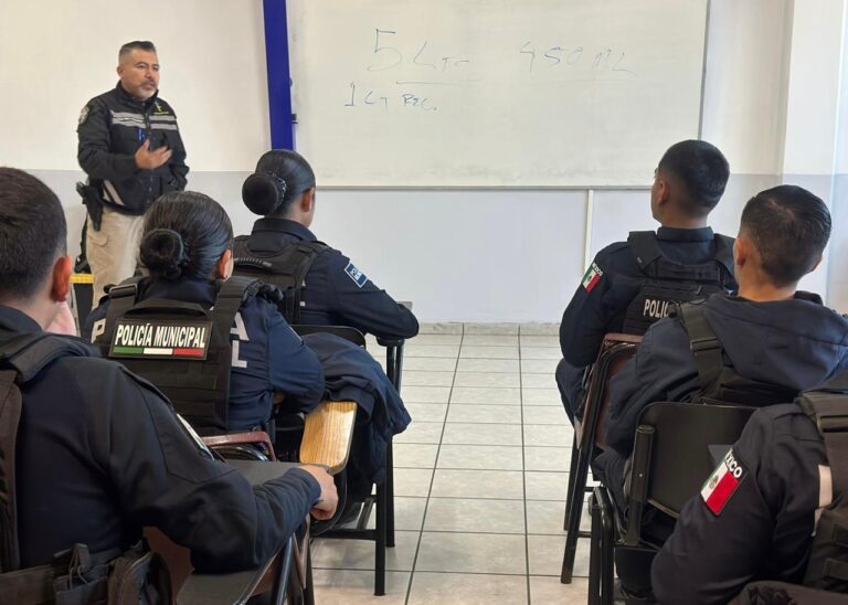 WhatsApp Image 2026-01-14 at 2.45.46 PM