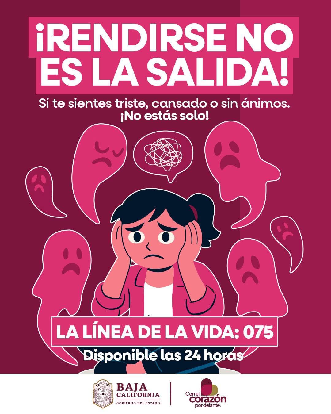 WhatsApp Image 2026-01-14 at 4.45.23 PM