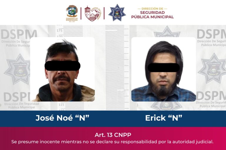 WhatsApp Image 2026-01-17 at 6.46.43 PM