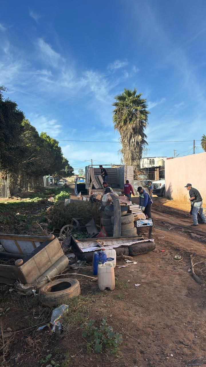 WhatsApp Image 2026-01-20 at 4.06.20 PM