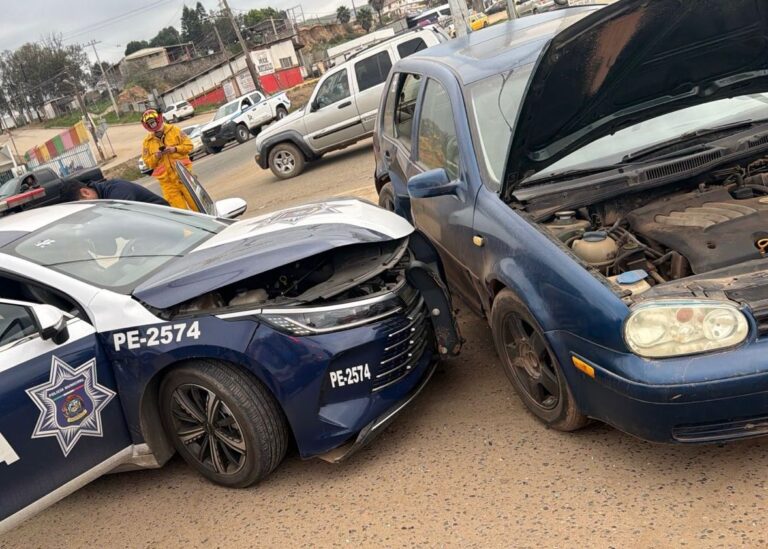 WhatsApp Image 2026-01-24 at 11.37.47 AM