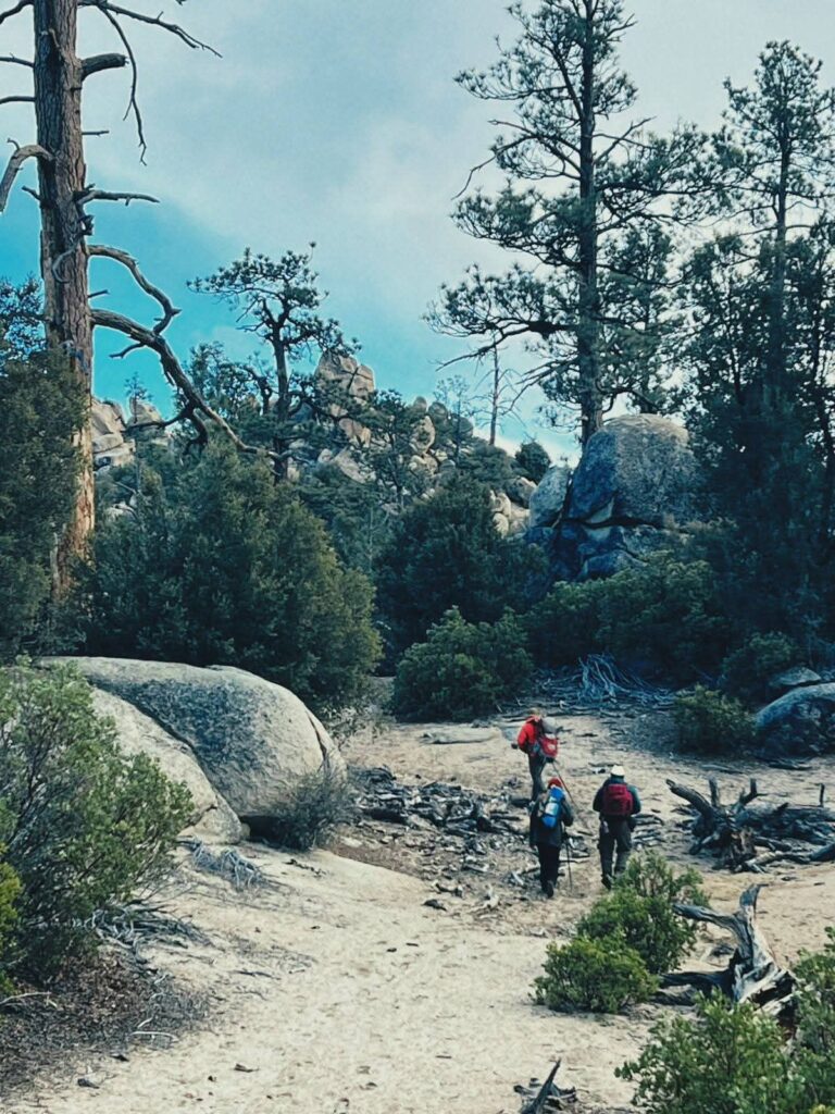 WhatsApp Image 2026-01-25 at 4.10.35 PM