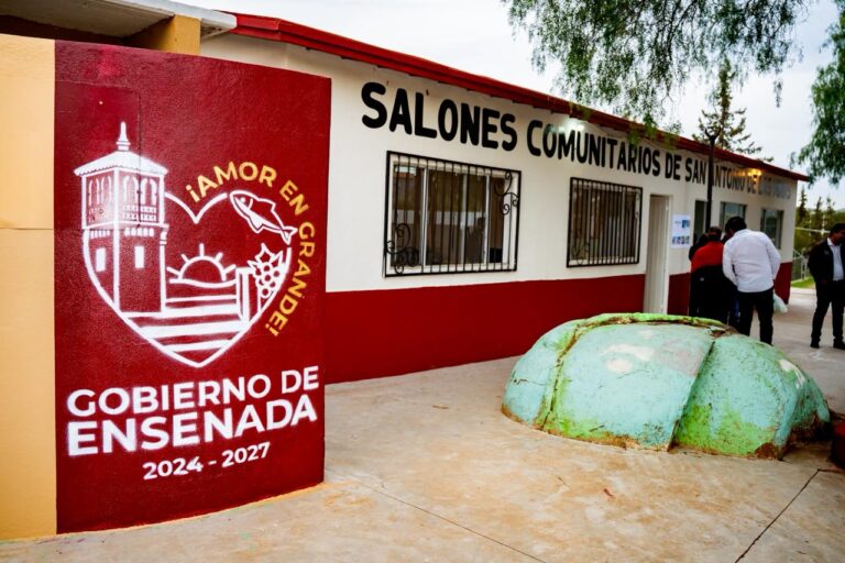 WhatsApp Image 2026-01-29 at 11.26.45 AM