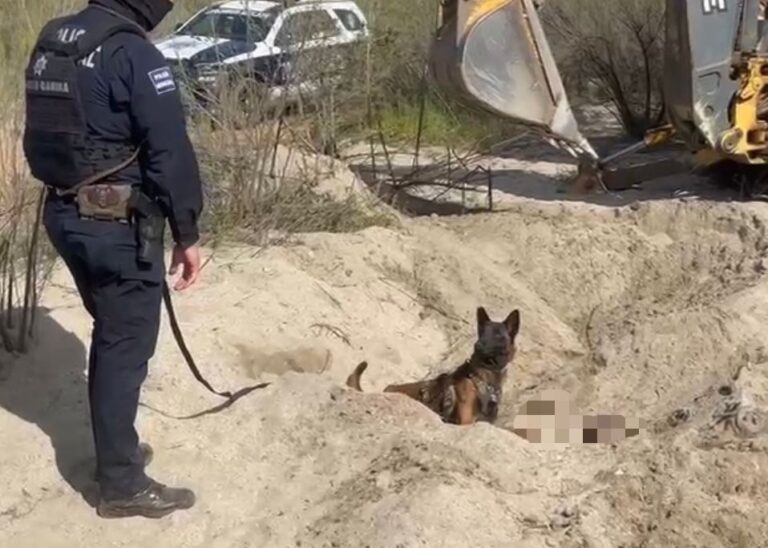 WhatsApp Image 2026-01-29 at 2.41.40 PM