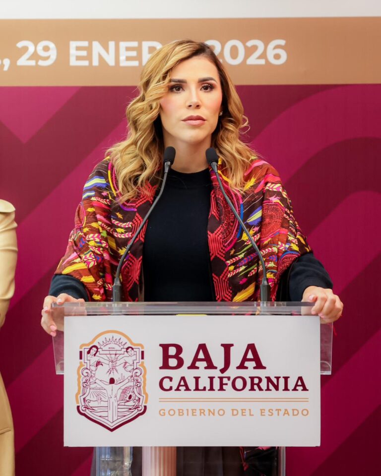 WhatsApp Image 2026-01-29 at 4.12.45 PM