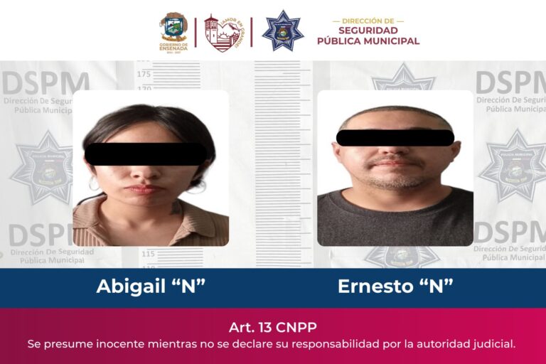 WhatsApp Image 2026-02-01 at 2.16.46 PM