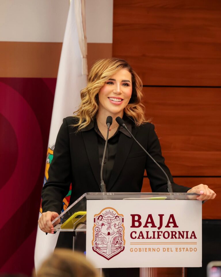 WhatsApp Image 2026-02-03 at 3.41.04 PM