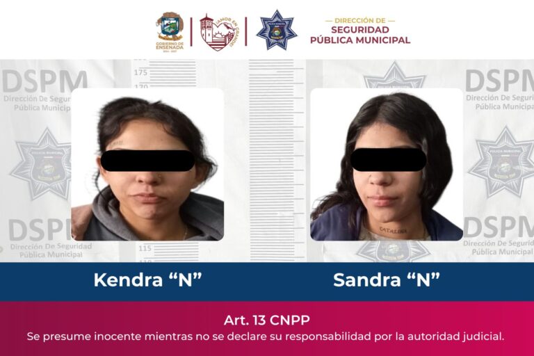 WhatsApp Image 2026-02-04 at 4.24.25 PM