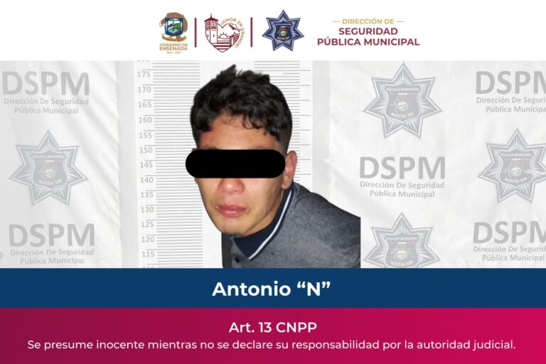 WhatsApp Image 2026-02-08 at 7.28.20 PM