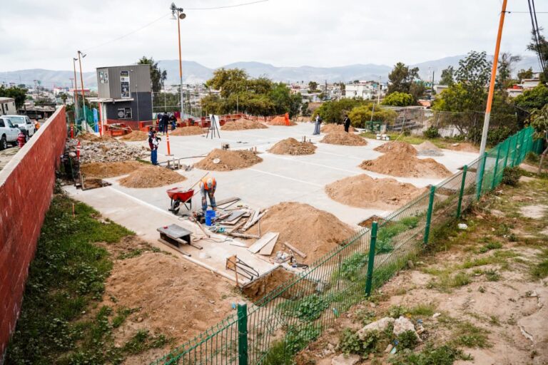 WhatsApp Image 2026-02-10 at 2.58.51 PM (2)