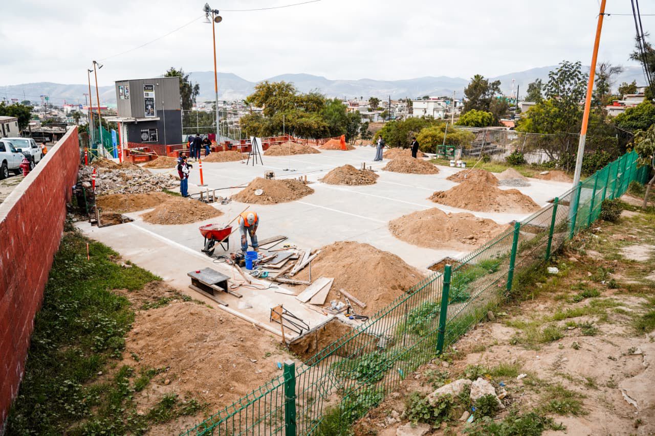 WhatsApp Image 2026-02-10 at 2.58.51 PM (2)