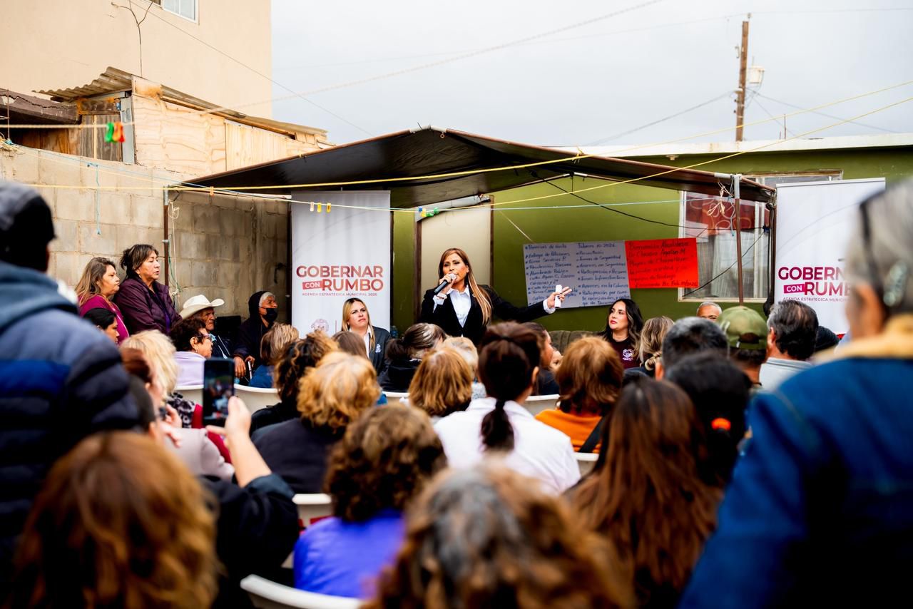 WhatsApp Image 2026-02-11 at 3.00.18 PM