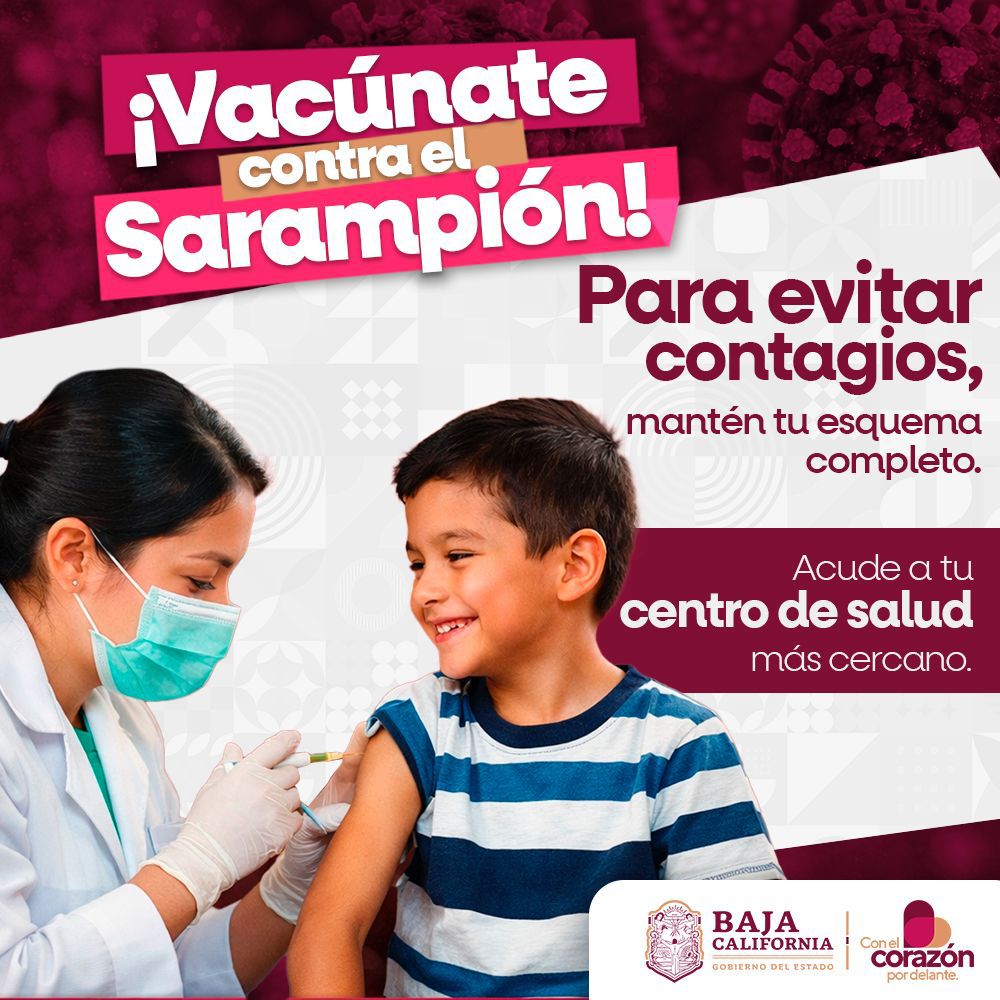 WhatsApp Image 2026-02-11 at 3.05.44 PM