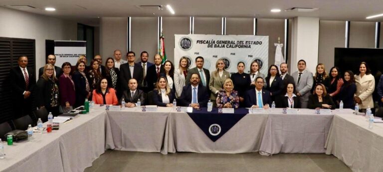 WhatsApp Image 2026-02-11 at 6.28.25 PM