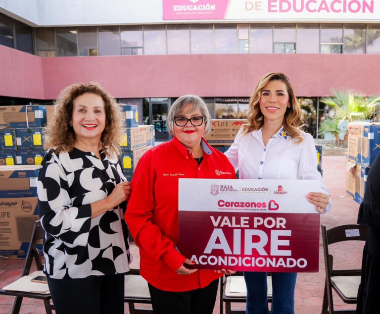 WhatsApp Image 2026-02-12 at 1.26.58 PM