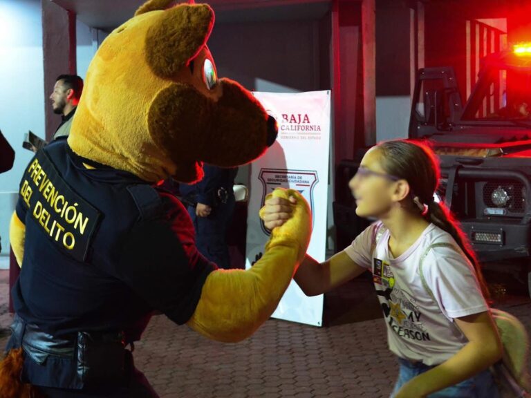 WhatsApp Image 2026-02-12 at 5.12.42 PM