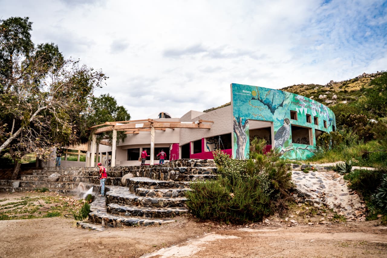 WhatsApp Image 2026-02-13 at 1.25.15 PM (2)