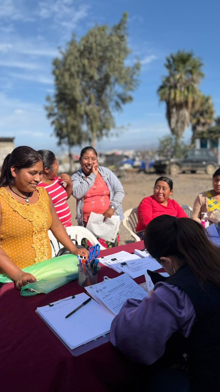 WhatsApp Image 2026-02-13 at 1.25.15 PM