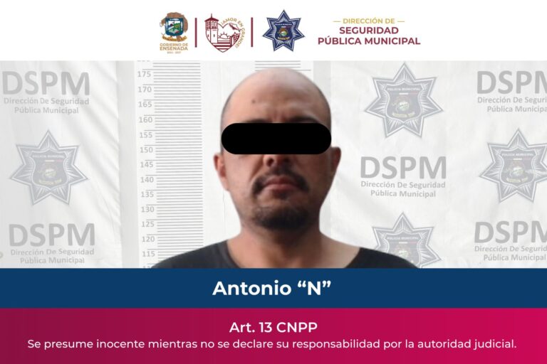 WhatsApp Image 2026-02-13 at 2.12.00 PM