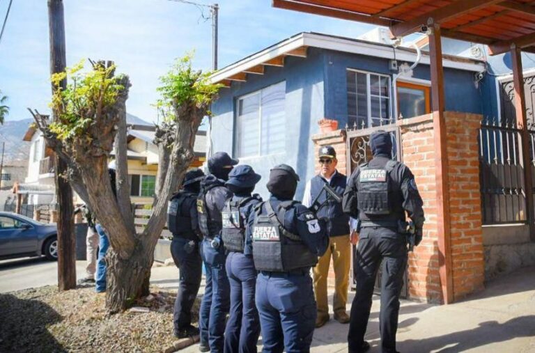 WhatsApp Image 2026-02-15 at 12.50.22 PM