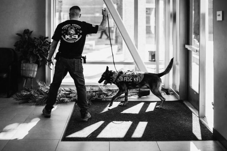 WhatsApp Image 2026-02-16 at 3.44.17 PM