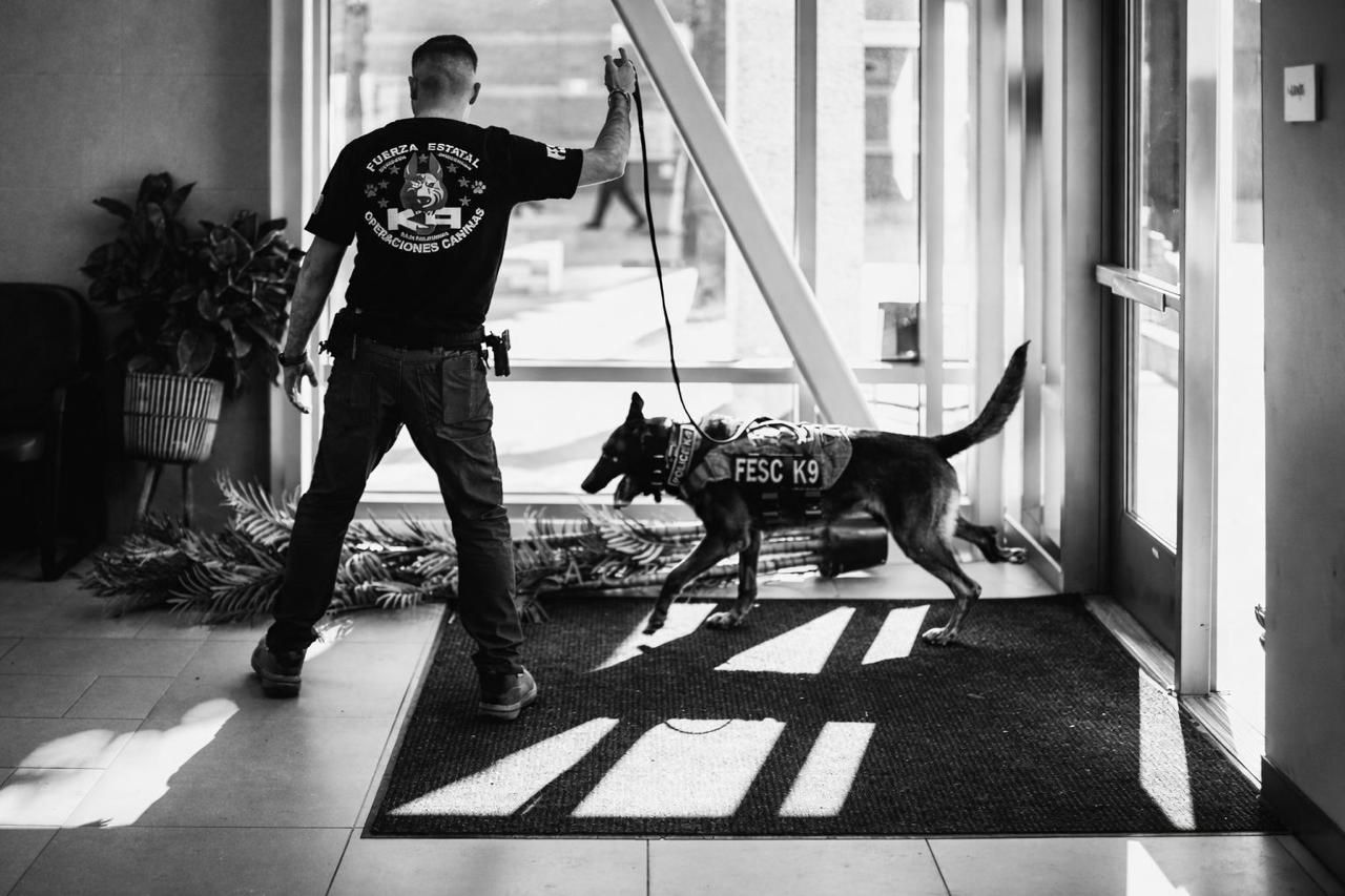 WhatsApp Image 2026-02-16 at 3.44.17 PM