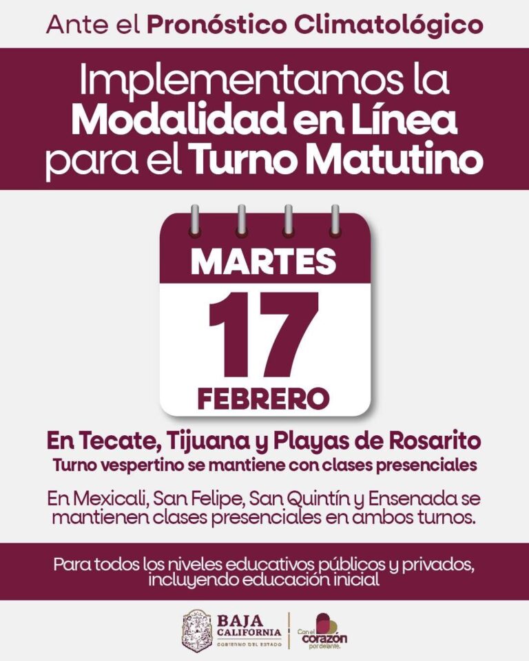 WhatsApp Image 2026-02-16 at 7.30.30 PM