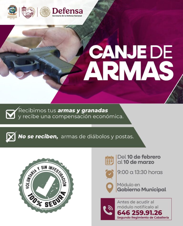 WhatsApp Image 2026-02-17 at 11.44.35 AM