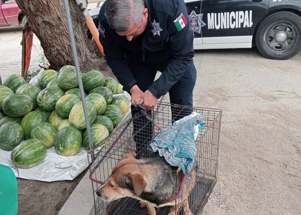 WhatsApp Image 2026-02-20 at 2.34.41 PM