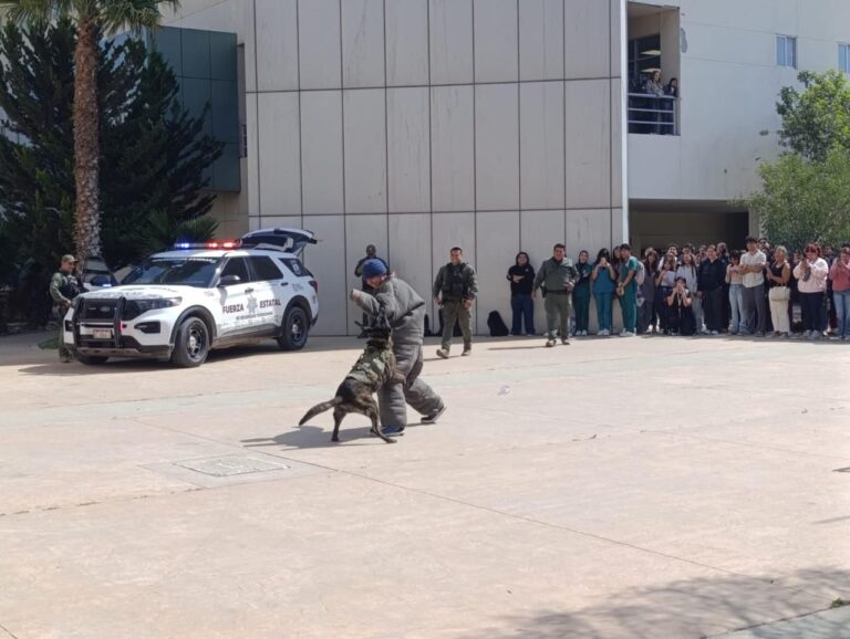 WhatsApp Image 2026-03-04 at 5.58.54 PM