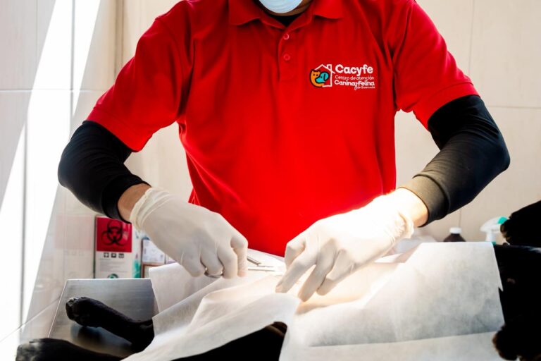 WhatsApp Image 2026-03-05 at 4.18.00 PM