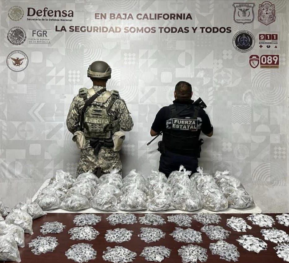 WhatsApp Image 2026-03-07 at 11.52.54 AM