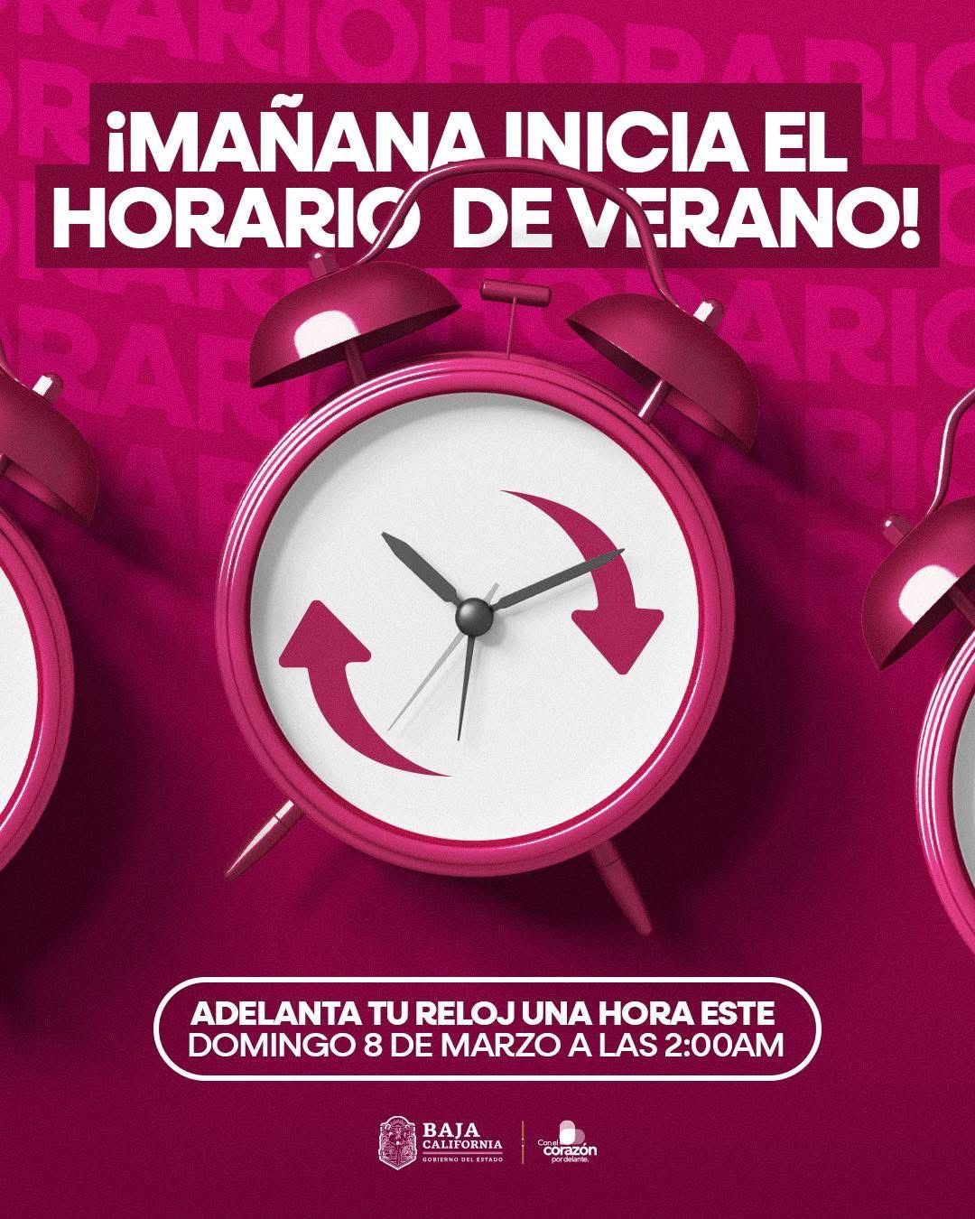 WhatsApp Image 2026-03-07 at 8.35.15 PM