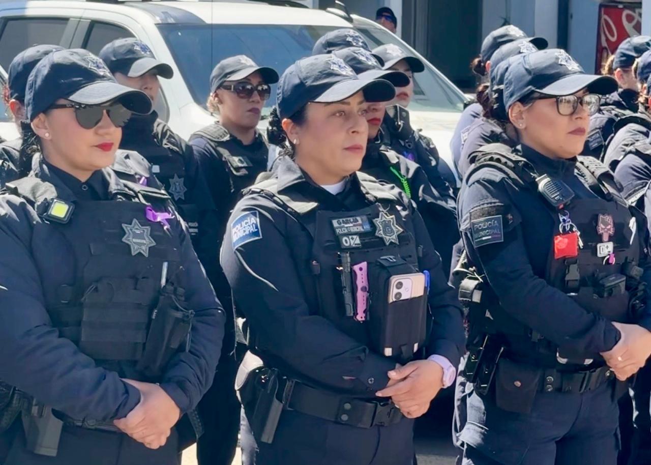 WhatsApp Image 2026-03-08 at 11.55.49 AM (1)