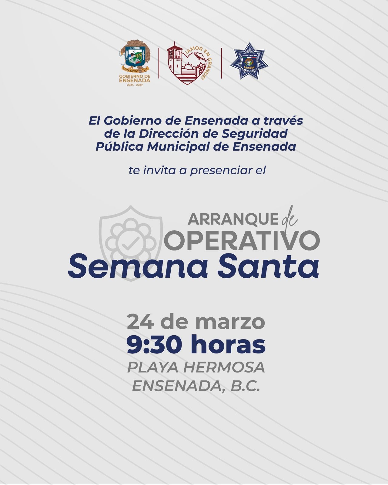 WhatsApp Image 2026-03-23 at 4.36.49 PM (2)