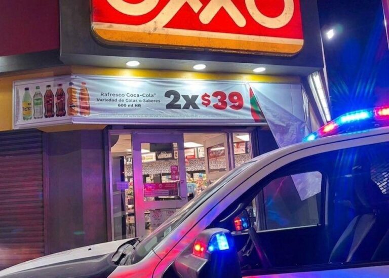 WhatsApp Image 2026-03-25 at 10.50.05 AM