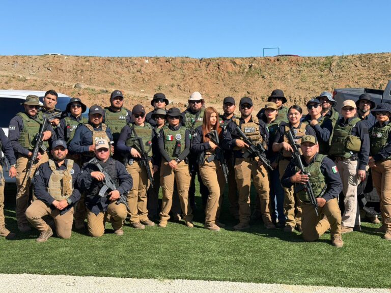 WhatsApp Image 2026-03-28 at 11.20.20 AM