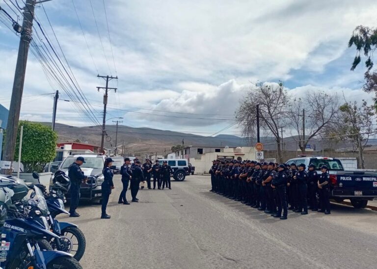 WhatsApp Image 2026-04-02 at 1.18.43 PM (1)