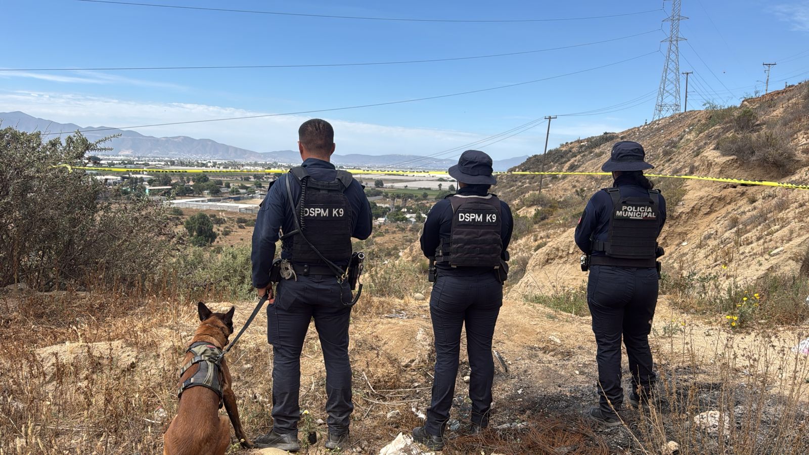 WhatsApp Image 2026-04-05 at 3.45.47 PM (3)