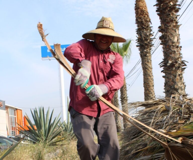 WhatsApp Image 2026-04-07 at 2.40.27 PM