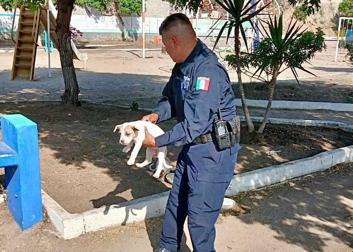 WhatsApp Image 2026-04-07 at 7.04.01 PM (2)