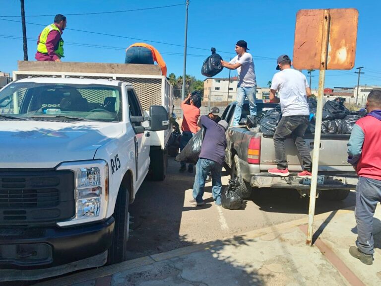 WhatsApp Image 2026-04-11 at 3.47.13 PM