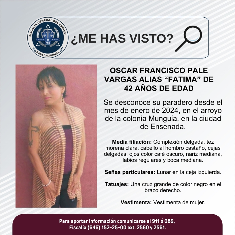 WhatsApp Image 2026-04-15 at 2.09.39 PM